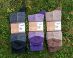 ABD Adventurer Alpaca Socks Collection - Alpaca Hiking Socks - Colors Back