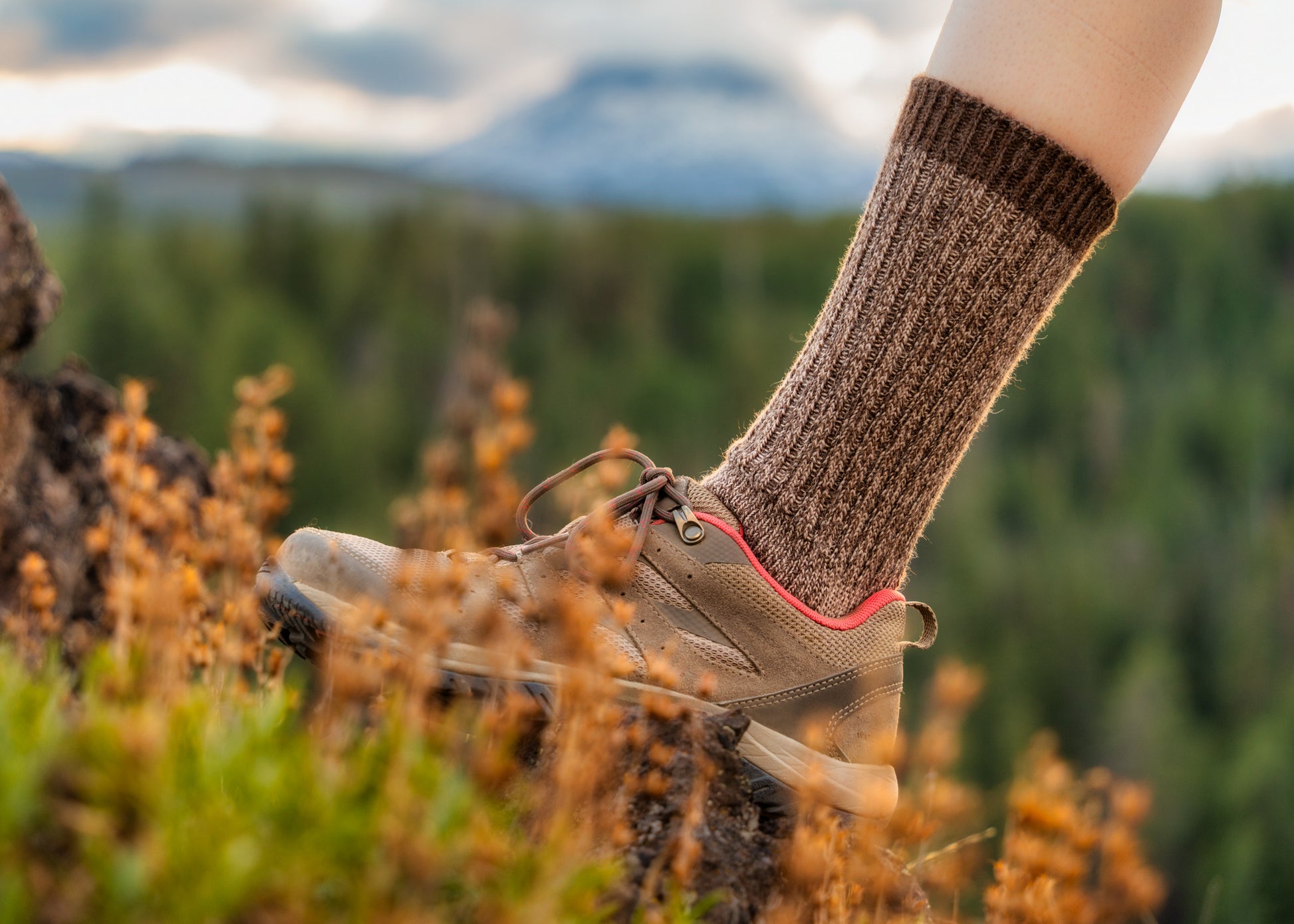 ABD Adventurer Alpaca Socks Collection - Alpaca Hiking Socks in Brown on a Hiker Landscape Orientation