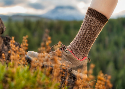 ABD Adventurer Alpaca Socks Collection - Alpaca Hiking Socks in Brown on a Hiker Landscape Orientation
