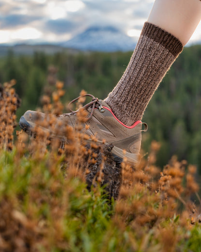 ABD Adventurer Alpaca Socks Collection - Alpaca Hiking Socks in Brown on a Hiker
