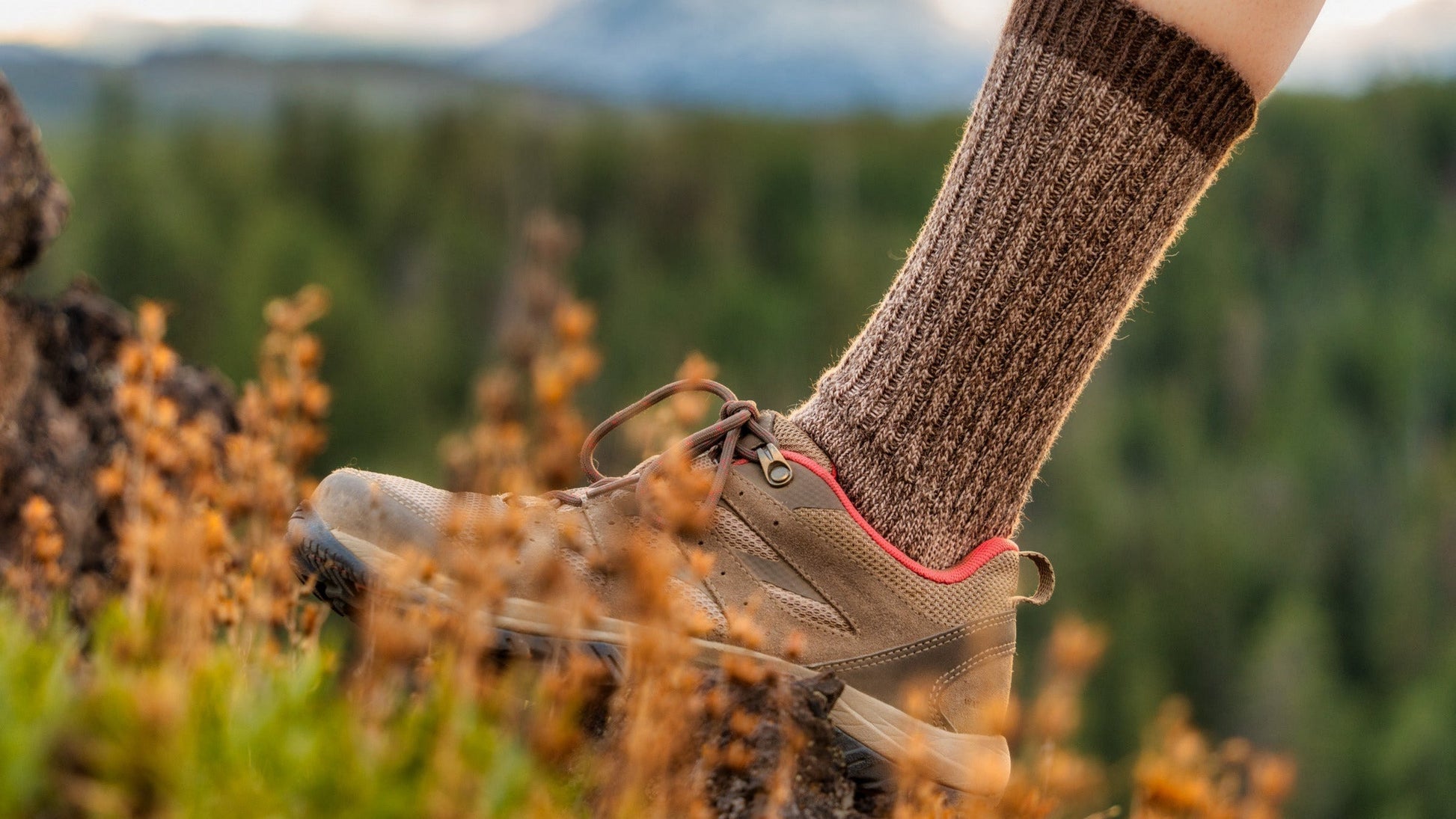 ABD Adventurer Alpaca Socks Collection - Alpaca Hiking Socks in Brown on a Hiker